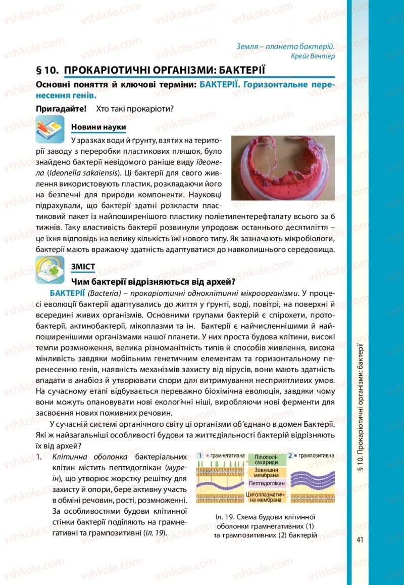 Страница 41 | Підручник Біологія 10 клас В.І. Соболь 2018