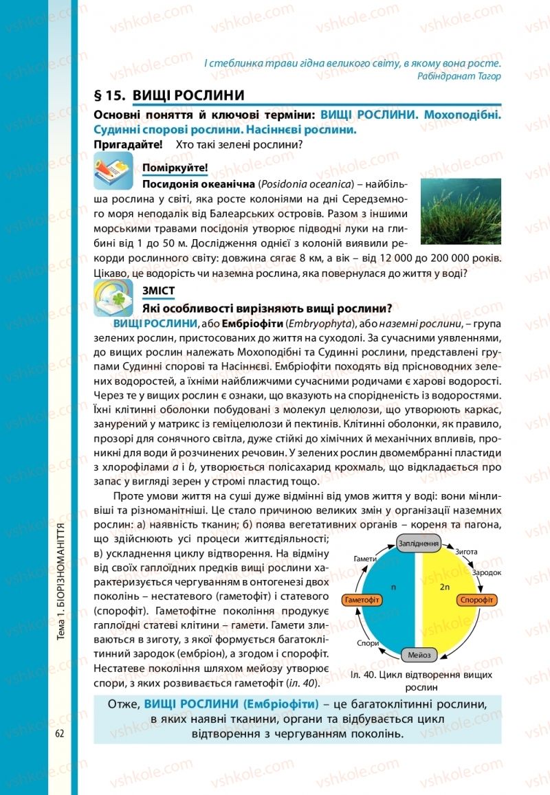 Страница 62 | Підручник Біологія 10 клас В.І. Соболь 2018