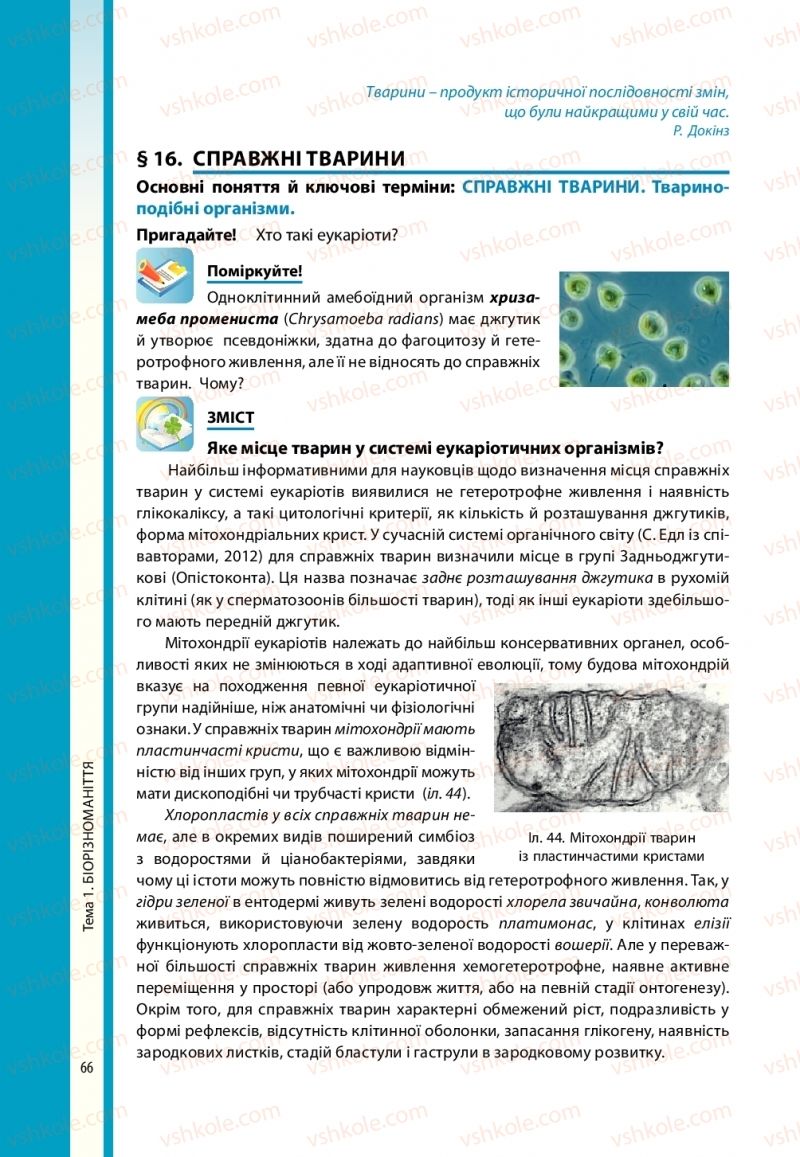 Страница 66 | Підручник Біологія 10 клас В.І. Соболь 2018