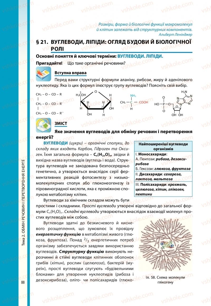 Страница 88 | Підручник Біологія 10 клас В.І. Соболь 2018