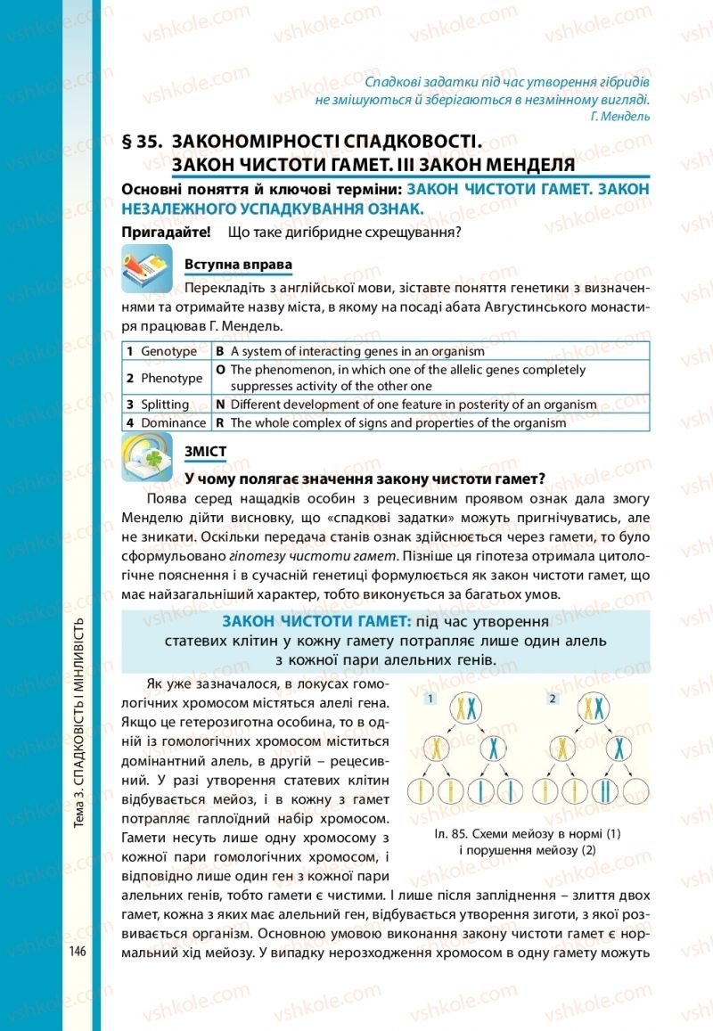 Страница 146 | Підручник Біологія 10 клас В.І. Соболь 2018