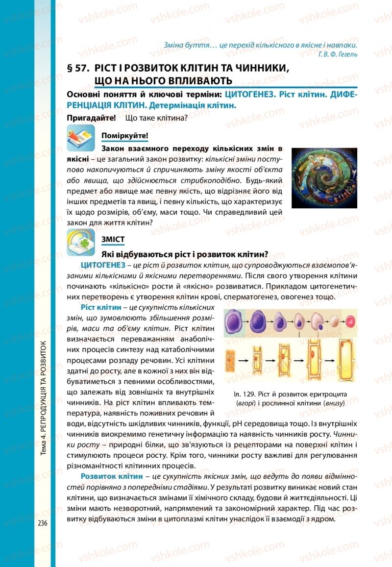 Страница 236 | Підручник Біологія 10 клас В.І. Соболь 2018