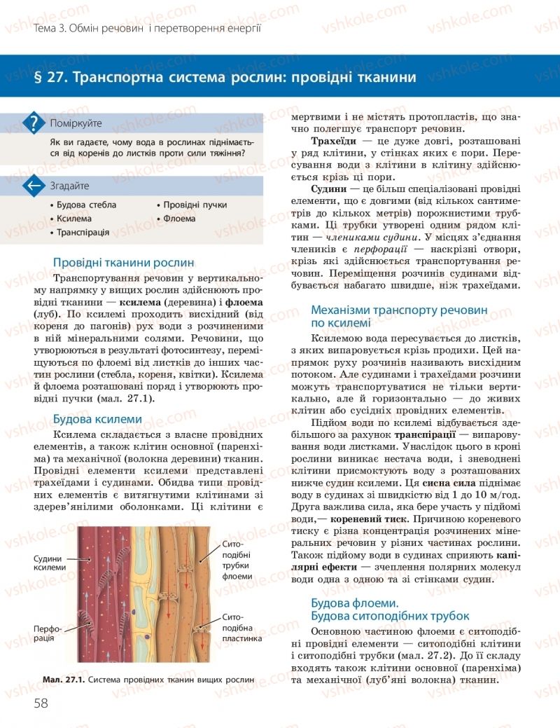 Страница 58 | Підручник Біологія 10 клас К.М. Задорожний, О.М. Утєвська 2018