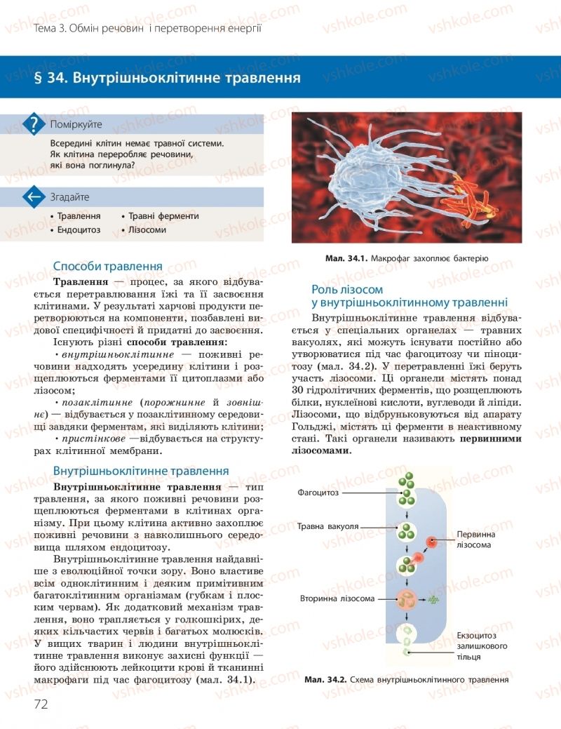 Страница 72 | Підручник Біологія 10 клас К.М. Задорожний, О.М. Утєвська 2018
