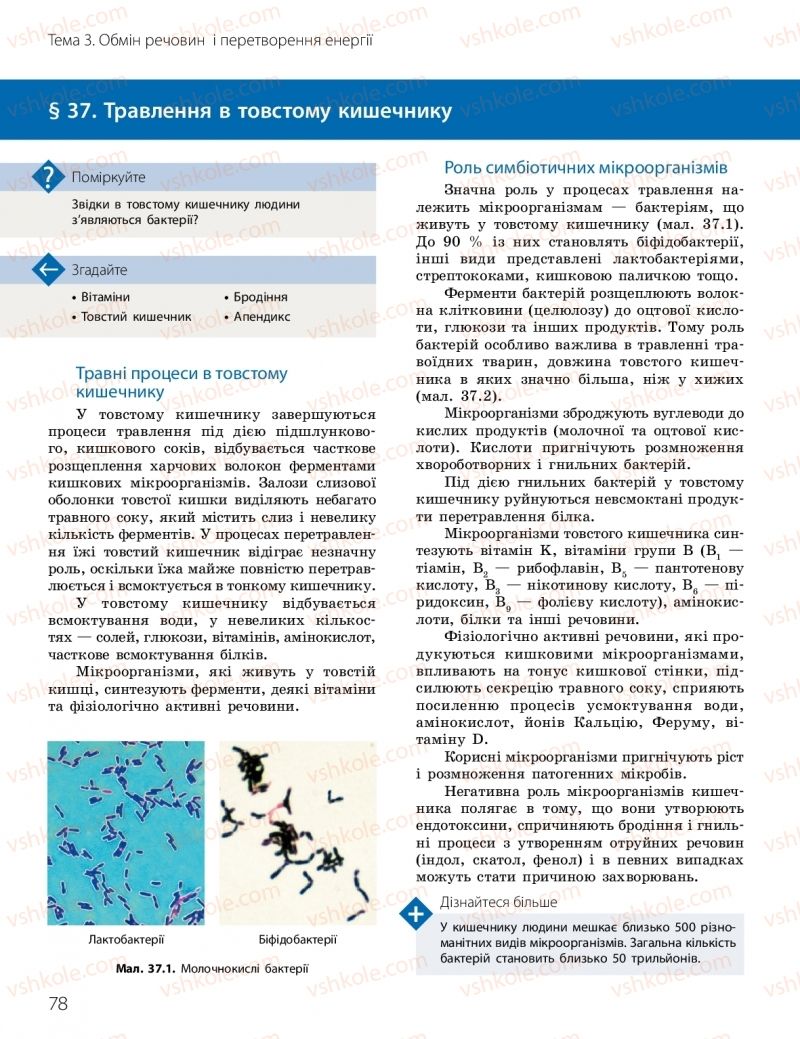 Страница 78 | Підручник Біологія 10 клас К.М. Задорожний, О.М. Утєвська 2018