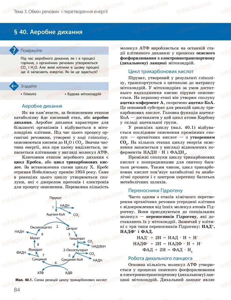 Страница 84 | Підручник Біологія 10 клас К.М. Задорожний, О.М. Утєвська 2018