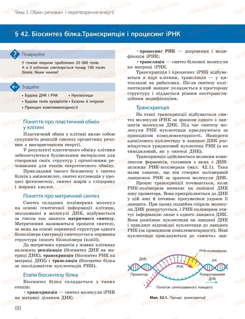 Страница 88 | Підручник Біологія 10 клас К.М. Задорожний, О.М. Утєвська 2018