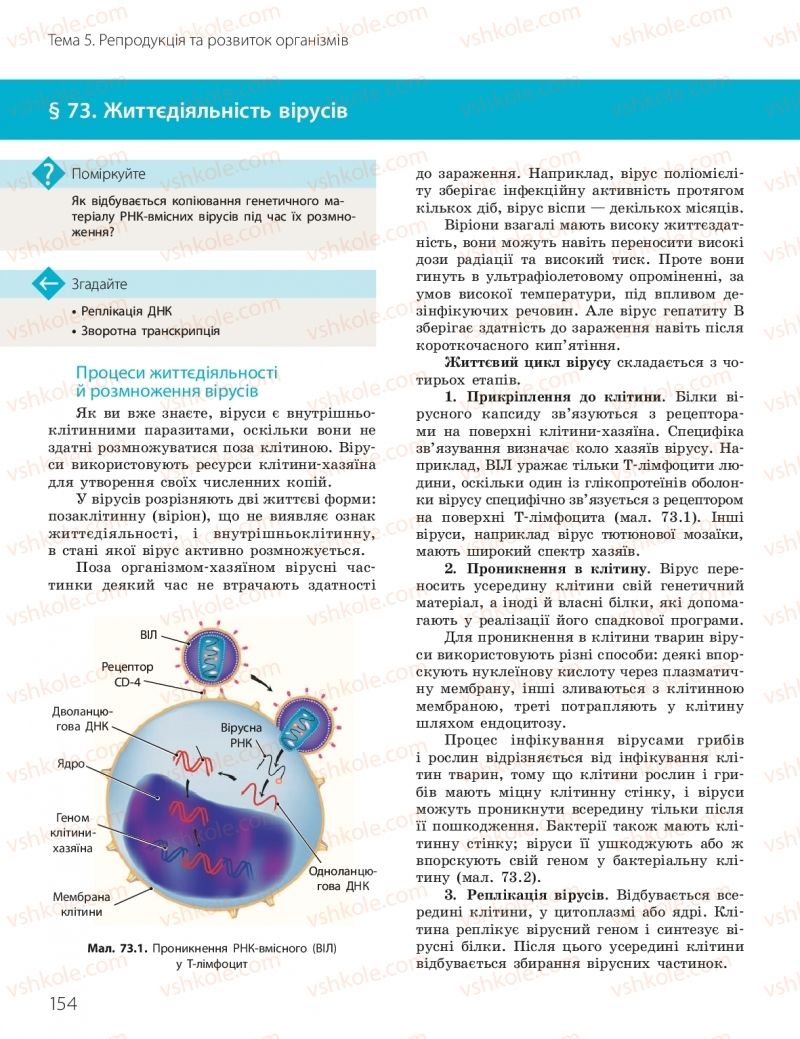 Страница 154 | Підручник Біологія 10 клас К.М. Задорожний, О.М. Утєвська 2018