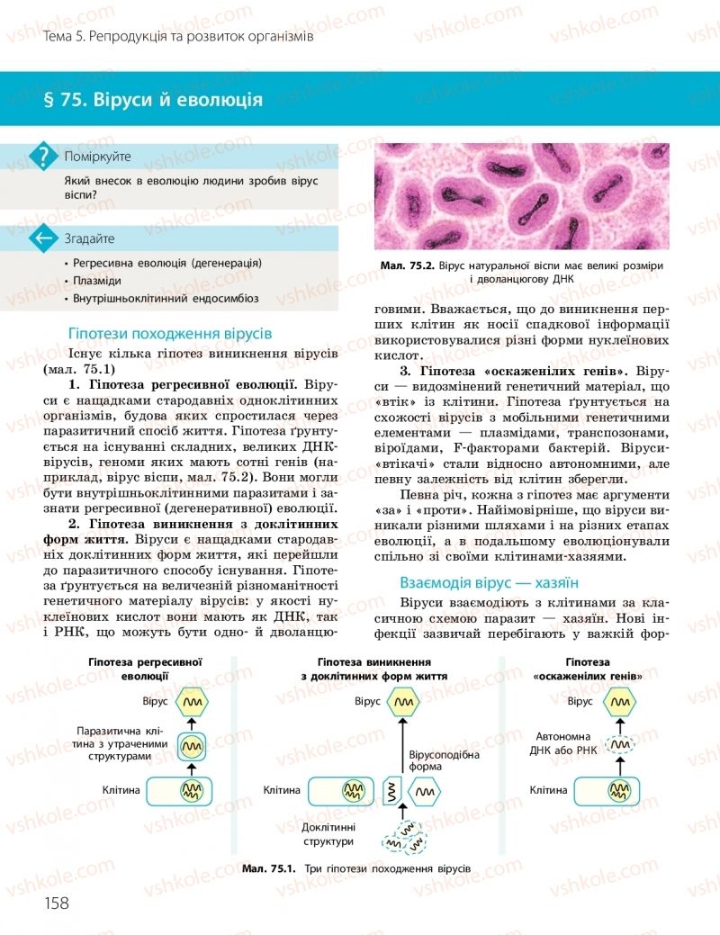 Страница 158 | Підручник Біологія 10 клас К.М. Задорожний, О.М. Утєвська 2018