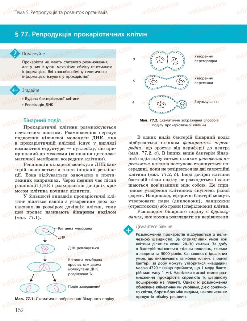 Страница 162 | Підручник Біологія 10 клас К.М. Задорожний, О.М. Утєвська 2018