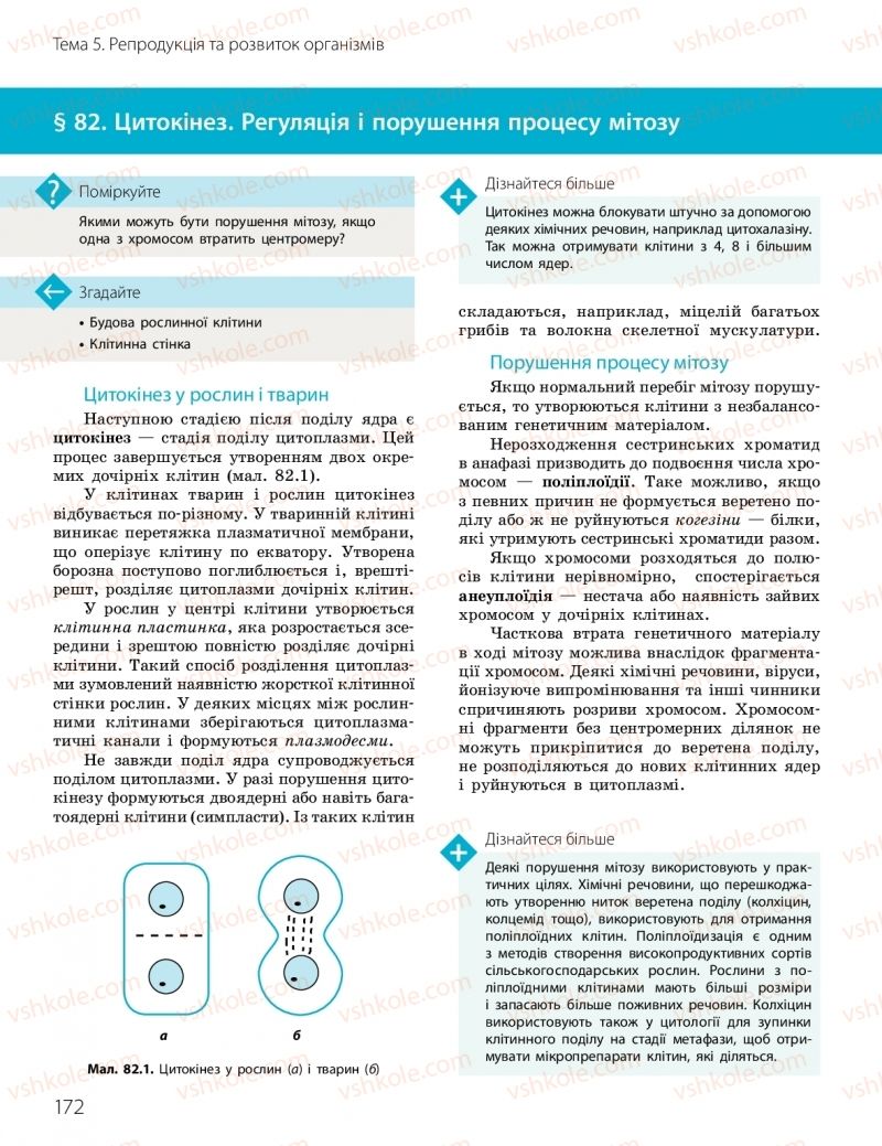 Страница 172 | Підручник Біологія 10 клас К.М. Задорожний, О.М. Утєвська 2018