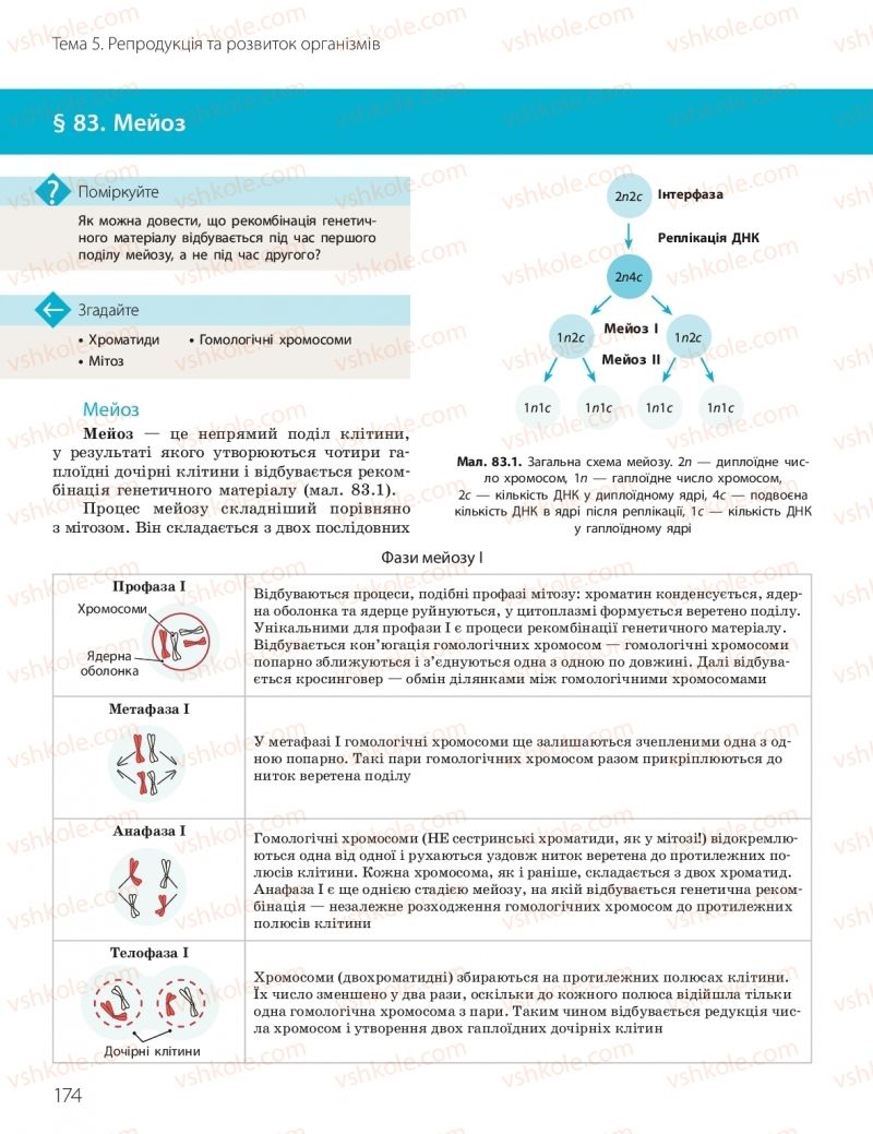 Страница 174 | Підручник Біологія 10 клас К.М. Задорожний, О.М. Утєвська 2018