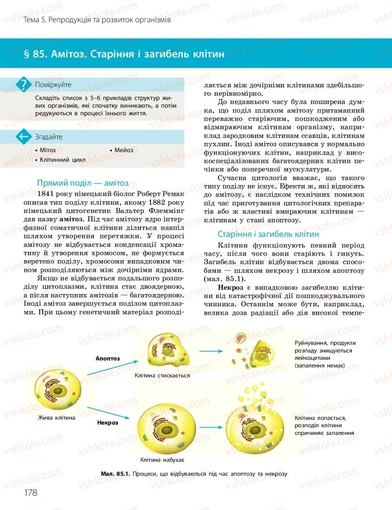 Страница 178 | Підручник Біологія 10 клас К.М. Задорожний, О.М. Утєвська 2018