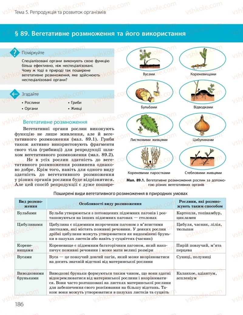 Страница 186 | Підручник Біологія 10 клас К.М. Задорожний, О.М. Утєвська 2018