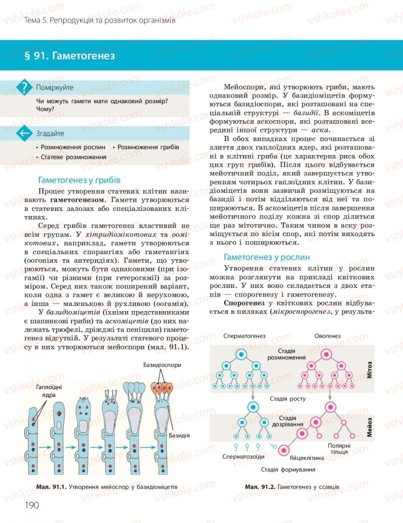 Страница 190 | Підручник Біологія 10 клас К.М. Задорожний, О.М. Утєвська 2018