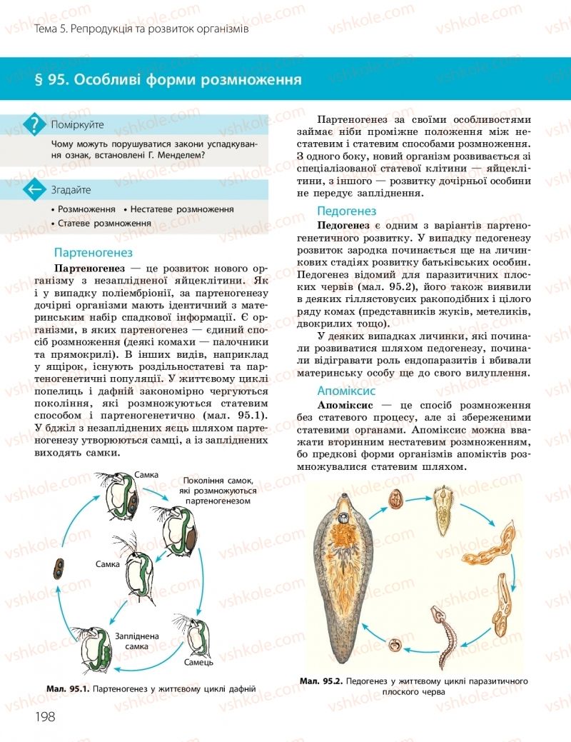 Страница 198 | Підручник Біологія 10 клас К.М. Задорожний, О.М. Утєвська 2018