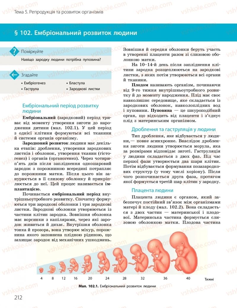 Страница 212 | Підручник Біологія 10 клас К.М. Задорожний, О.М. Утєвська 2018