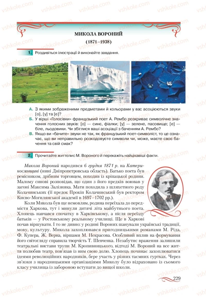 Страница 229 | Підручник Українська література 10 клас О.М. Авраменко, В.І. Пахаренко 2018