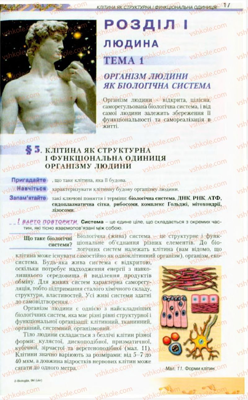 Страница 17 | Підручник Біологія 9 клас Н.Ю. Матяш, М.Н. Шабатура 2009