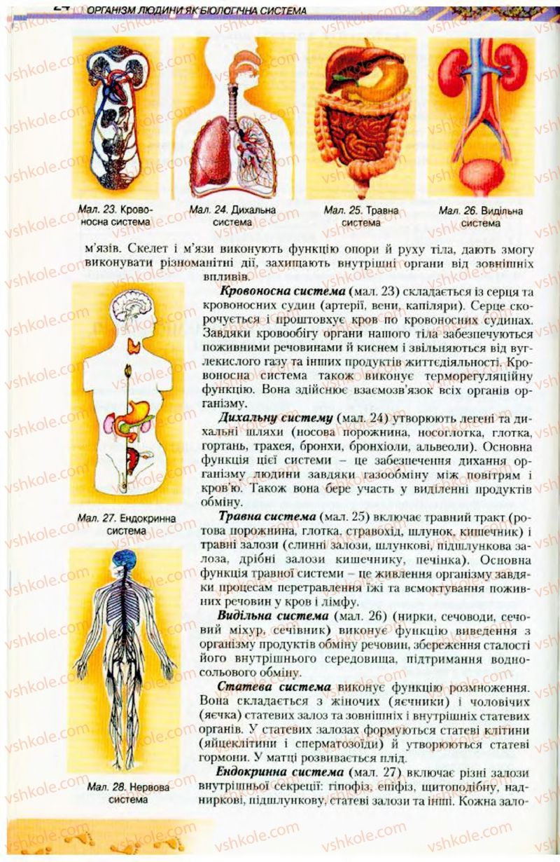 Страница 24 | Підручник Біологія 9 клас Н.Ю. Матяш, М.Н. Шабатура 2009