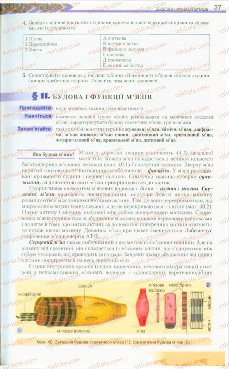 Страница 37 | Підручник Біологія 9 клас Н.Ю. Матяш, М.Н. Шабатура 2009