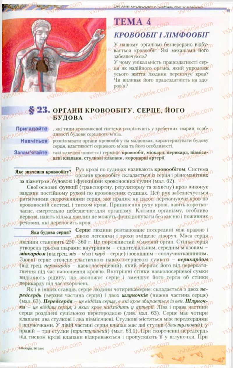 Страница 65 | Підручник Біологія 9 клас Н.Ю. Матяш, М.Н. Шабатура 2009