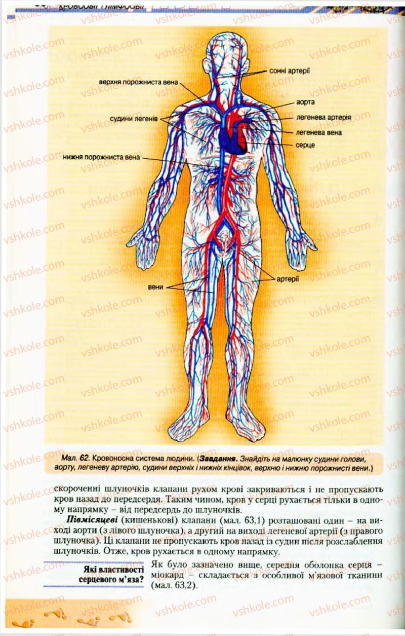 Страница 66 | Підручник Біологія 9 клас Н.Ю. Матяш, М.Н. Шабатура 2009