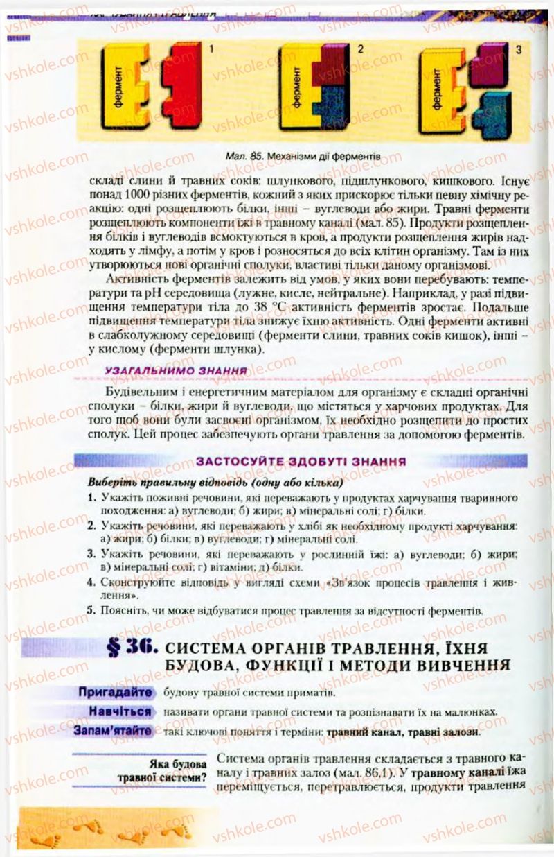 Страница 96 | Підручник Біологія 9 клас Н.Ю. Матяш, М.Н. Шабатура 2009