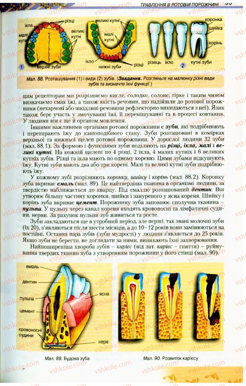 Страница 99 | Підручник Біологія 9 клас Н.Ю. Матяш, М.Н. Шабатура 2009