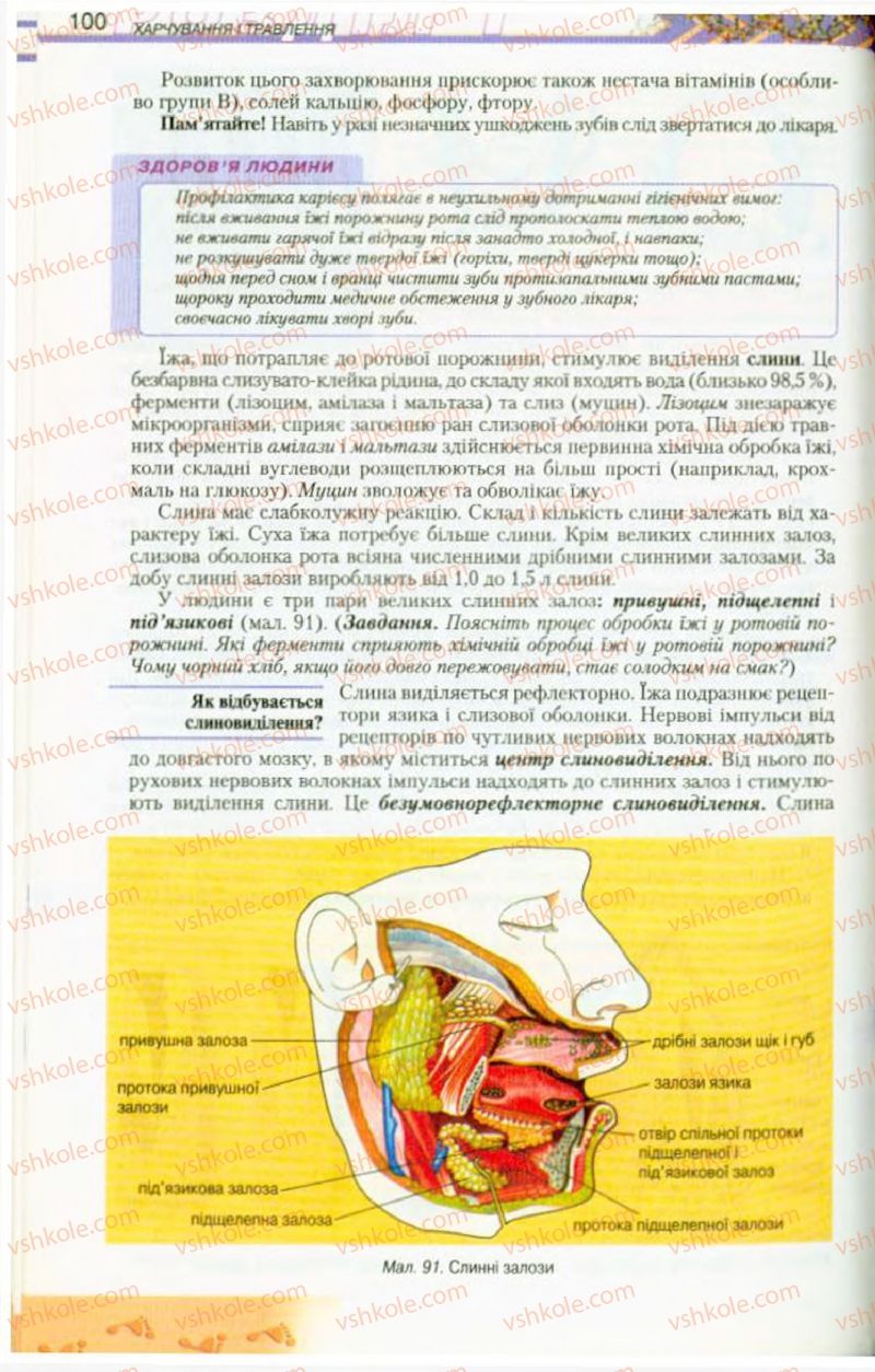 Страница 100 | Підручник Біологія 9 клас Н.Ю. Матяш, М.Н. Шабатура 2009