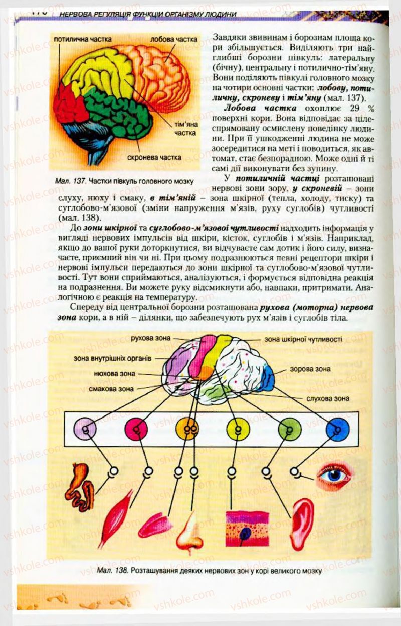 Страница 170 | Підручник Біологія 9 клас Н.Ю. Матяш, М.Н. Шабатура 2009