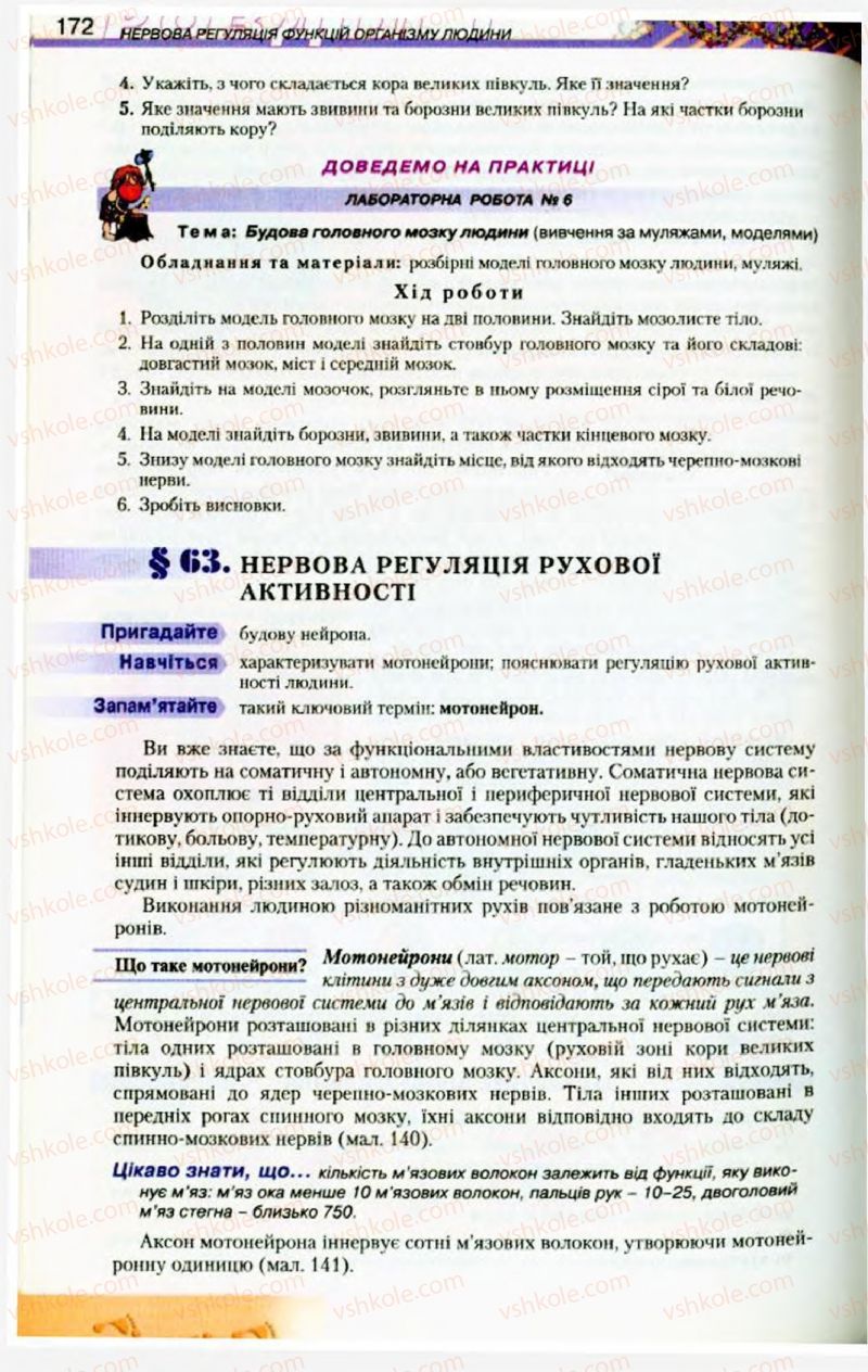 Страница 172 | Підручник Біологія 9 клас Н.Ю. Матяш, М.Н. Шабатура 2009