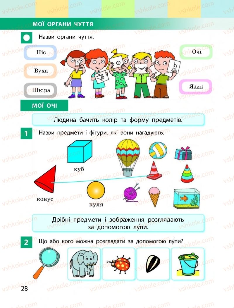 Страница 28 | Підручник Я досліджую світ 1 клас І.О. Большакова, М.С. Пристінська 2018 1 частина