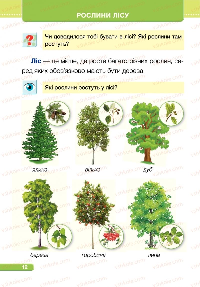 Страница 12 | Підручник Я досліджую світ 1 клас І.І. Жаркова, Л.А. Мечник 2018 2 частина