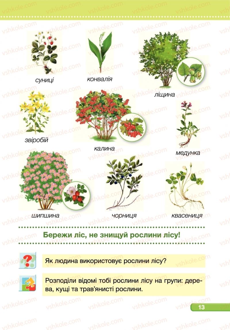 Страница 13 | Підручник Я досліджую світ 1 клас І.І. Жаркова, Л.А. Мечник 2018 2 частина