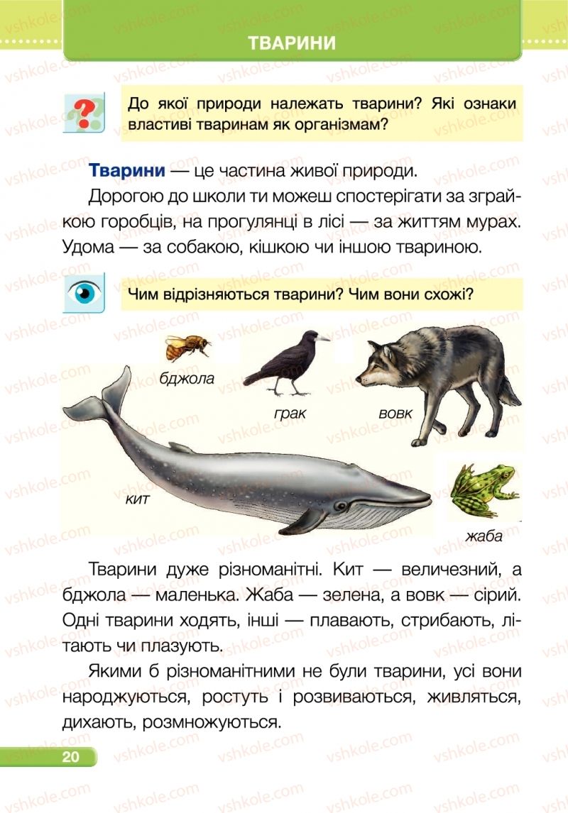 Страница 20 | Підручник Я досліджую світ 1 клас І.І. Жаркова, Л.А. Мечник 2018 2 частина