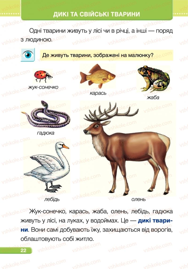 Страница 22 | Підручник Я досліджую світ 1 клас І.І. Жаркова, Л.А. Мечник 2018 2 частина