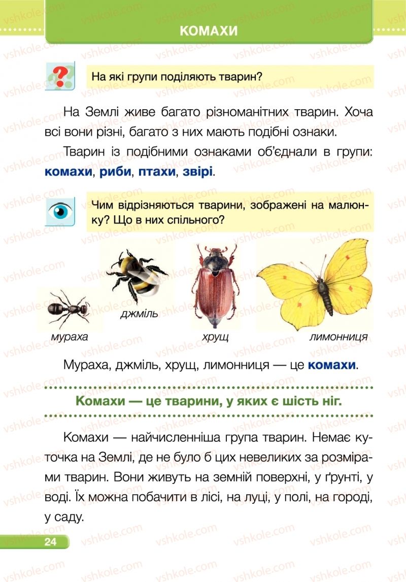 Страница 24 | Підручник Я досліджую світ 1 клас І.І. Жаркова, Л.А. Мечник 2018 2 частина