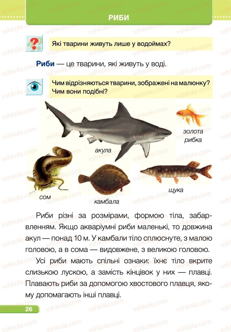 Страница 26 | Підручник Я досліджую світ 1 клас І.І. Жаркова, Л.А. Мечник 2018 2 частина