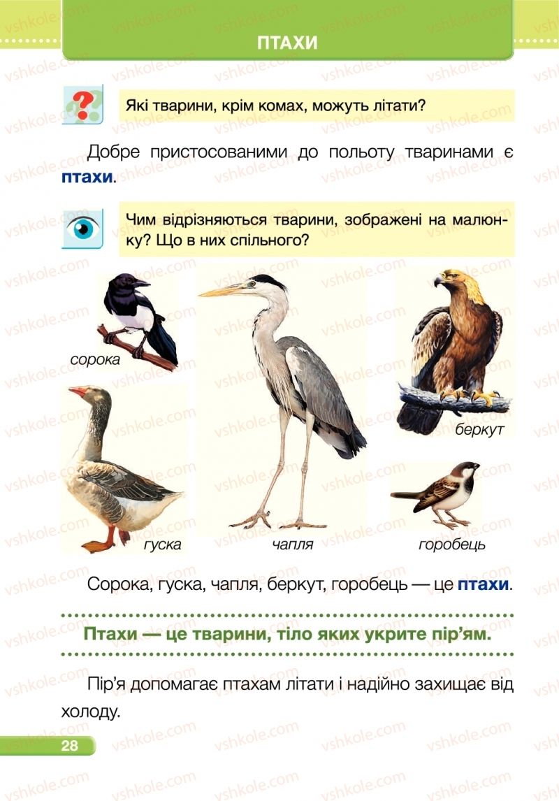 Страница 28 | Підручник Я досліджую світ 1 клас І.І. Жаркова, Л.А. Мечник 2018 2 частина