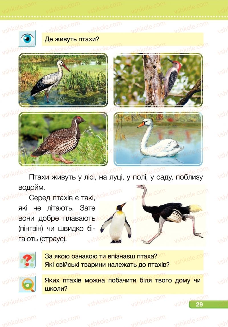 Страница 29 | Підручник Я досліджую світ 1 клас І.І. Жаркова, Л.А. Мечник 2018 2 частина