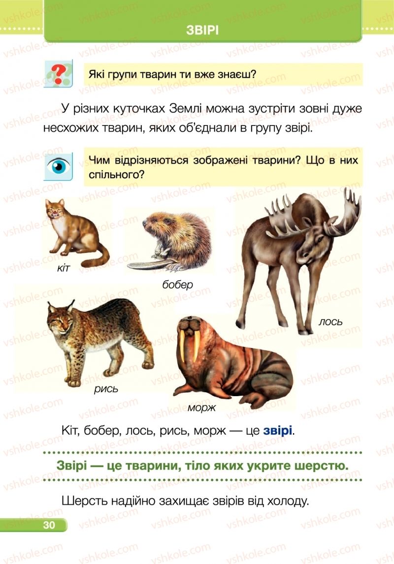 Страница 30 | Підручник Я досліджую світ 1 клас І.І. Жаркова, Л.А. Мечник 2018 2 частина