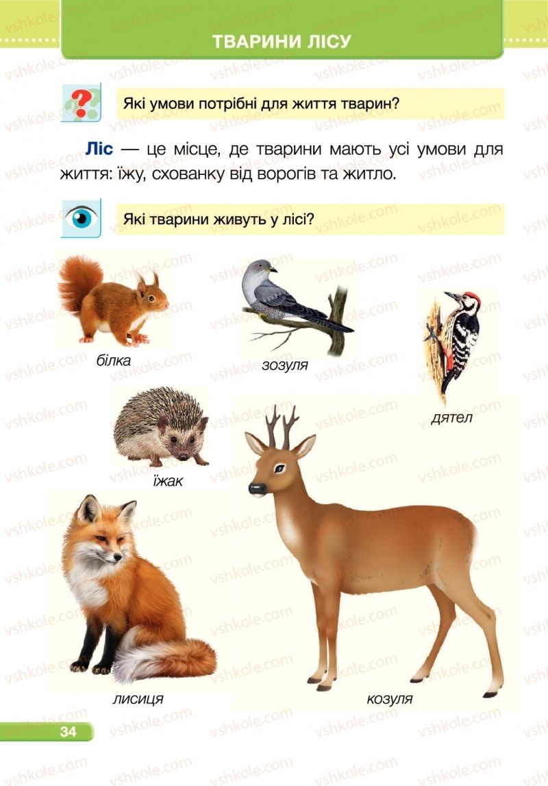 Страница 34 | Підручник Я досліджую світ 1 клас І.І. Жаркова, Л.А. Мечник 2018 2 частина