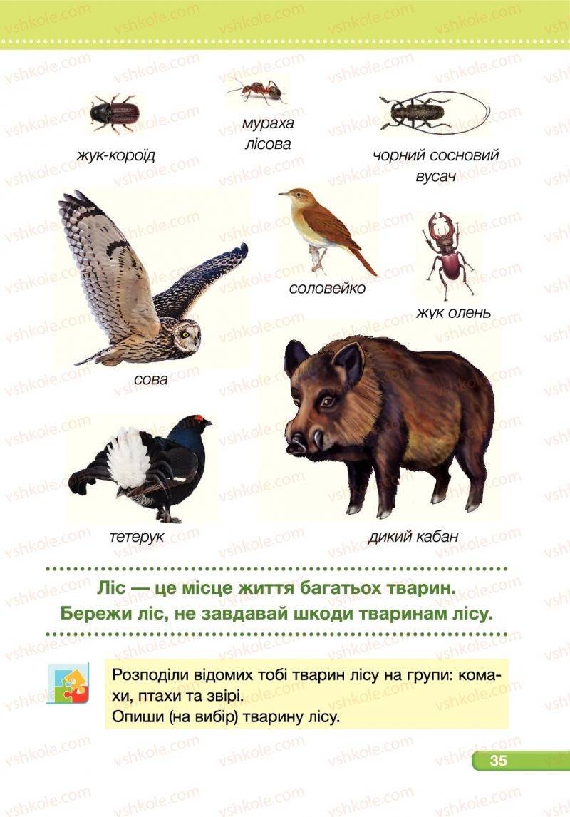 Страница 35 | Підручник Я досліджую світ 1 клас І.І. Жаркова, Л.А. Мечник 2018 2 частина