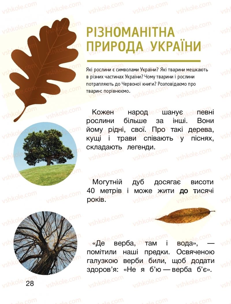 Страница 28 | Підручник Я досліджую світ 1 клас О.Л. Іщенко, О.М. Ващенко, Л.В. Романенко, О.М. Кліщ 2018 2 частина