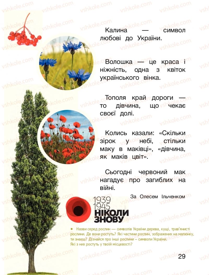 Страница 29 | Підручник Я досліджую світ 1 клас О.Л. Іщенко, О.М. Ващенко, Л.В. Романенко, О.М. Кліщ 2018 2 частина