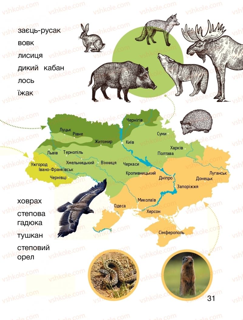 Страница 31 | Підручник Я досліджую світ 1 клас О.Л. Іщенко, О.М. Ващенко, Л.В. Романенко, О.М. Кліщ 2018 2 частина