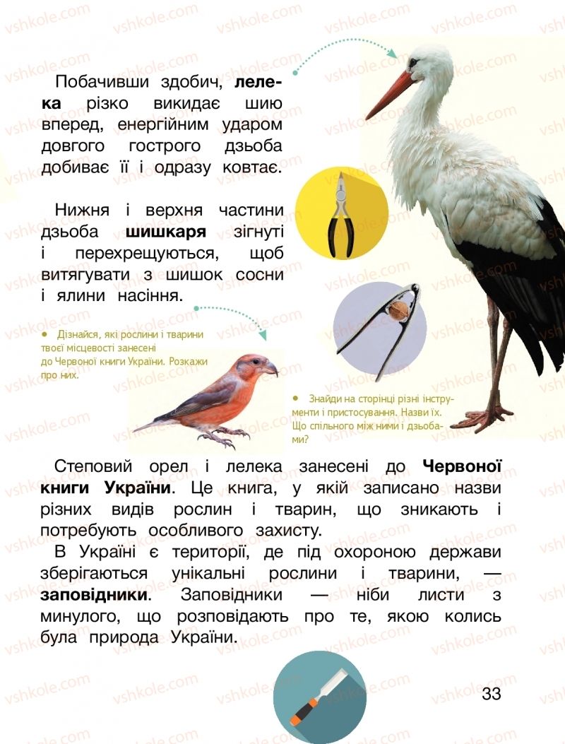 Страница 33 | Підручник Я досліджую світ 1 клас О.Л. Іщенко, О.М. Ващенко, Л.В. Романенко, О.М. Кліщ 2018 2 частина