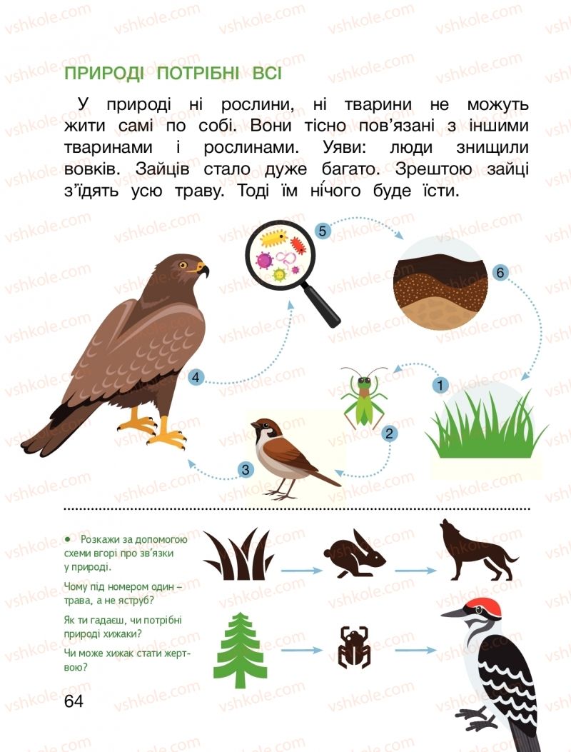 Страница 64 | Підручник Я досліджую світ 1 клас О.Л. Іщенко, О.М. Ващенко, Л.В. Романенко, О.М. Кліщ 2018 2 частина