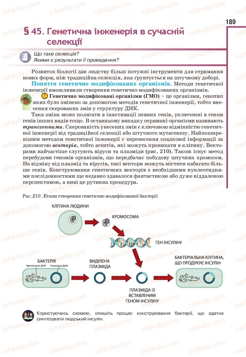 Страница 189 | Підручник Біологія 11 клас О.А. Андерсон, М.А. Вихренко, А.О. Чернінський, С.М. Міюс 2019
